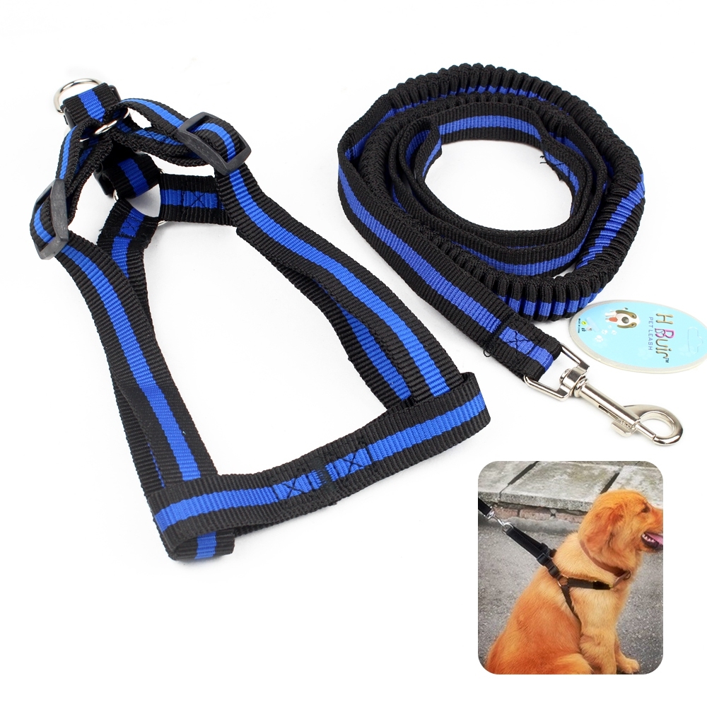 Telecorsa สายจูงสุนัข 1 ชิ้น คละสี รุ่น Dog-Walking-Dog-Strap-elastic-Medium-00e-June-Beam