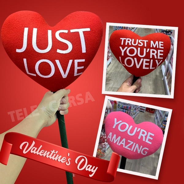 Telecorsa หมอนรูปหัวใจมีด้ามจับ (คละสี/คละลาย) รุ่น Valentine-gift-heart-you-are-so-good-09c-OKs