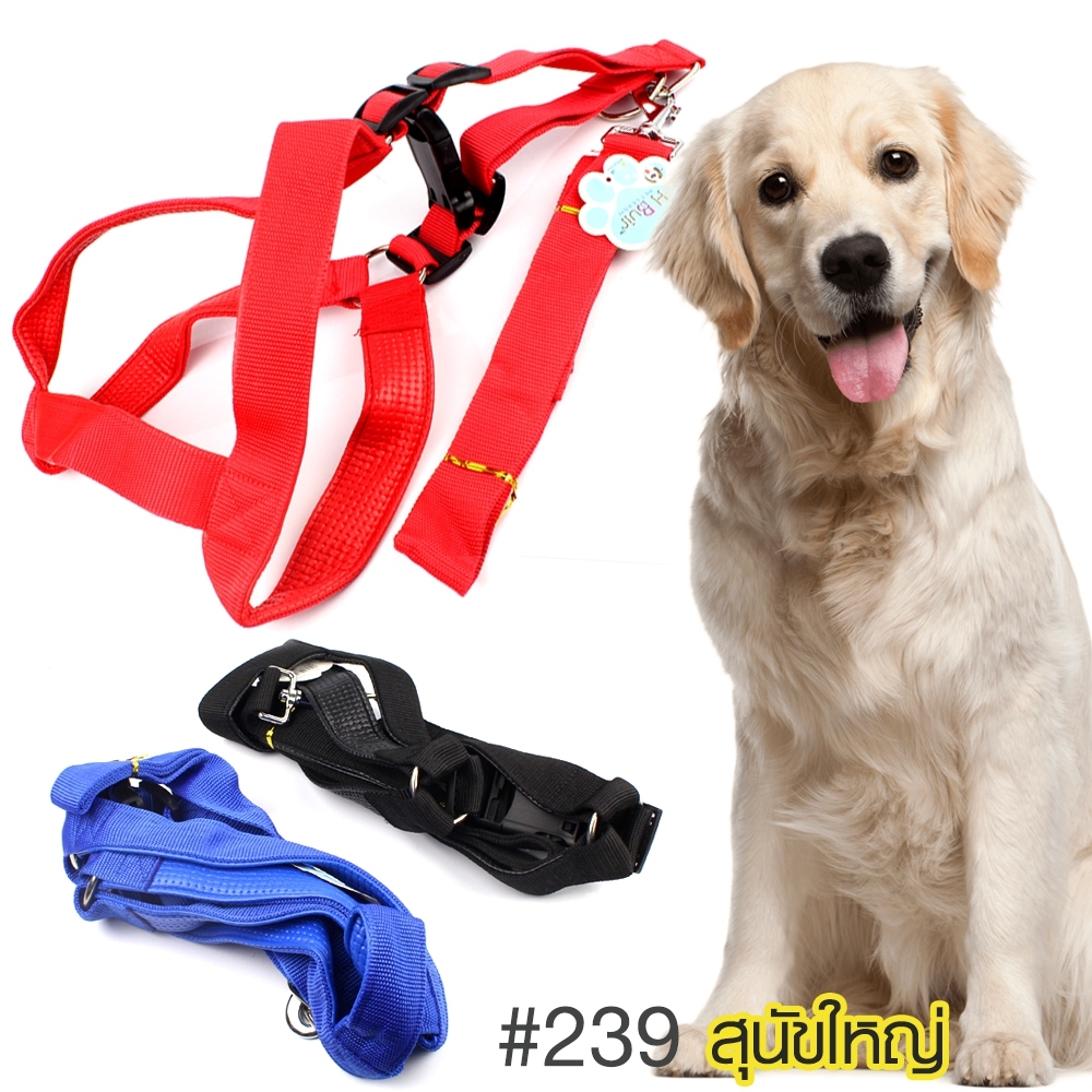 Telecorsa สายจูงสัตว์เลี้ยง สายจูงสุนัข พันธุ์ใหญ่ (239) คละสี รุ่น 239-leather-dog-strip-walking-4cm-thick-00a-June-p