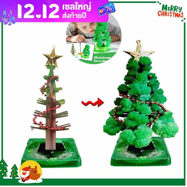 Magic Growing Christmas Tree ต้นคริสต์มาส ต้นไม้วิทยาศาสตร์